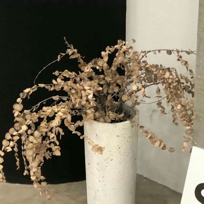 蒲城FurryQQ群介绍